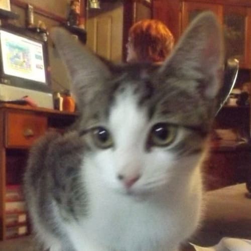 Quentin @ Squawks Pet Store