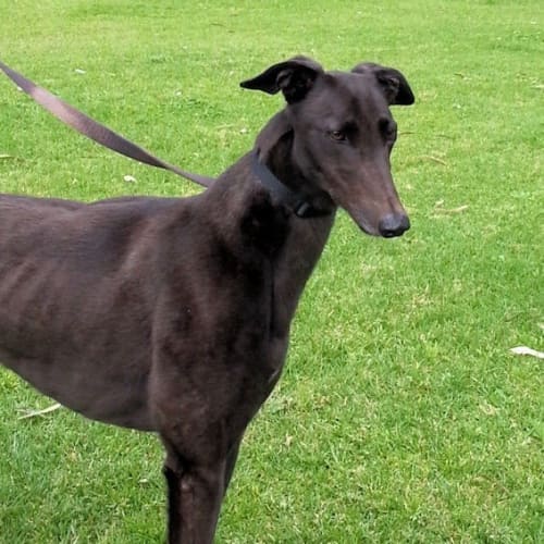 Mindy is checking out her new home