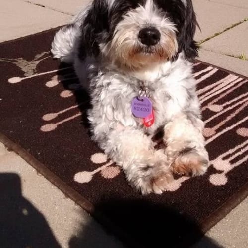Molly