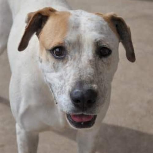 Missy ** A Total Sweet Heart **