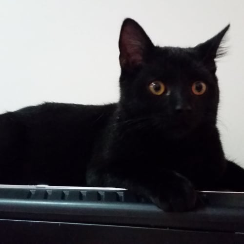 Linus