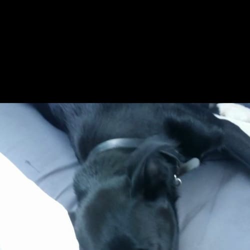 Kooper