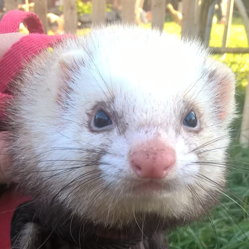Kita