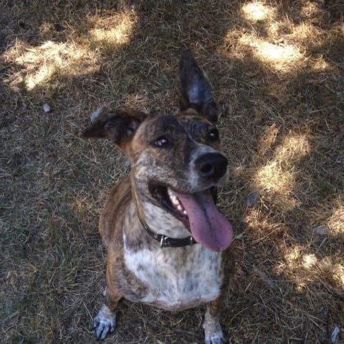 Roxy ** Such A Beautiful Girl **