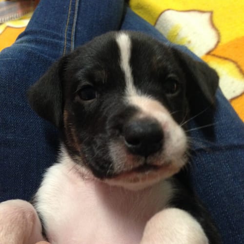 Leroy