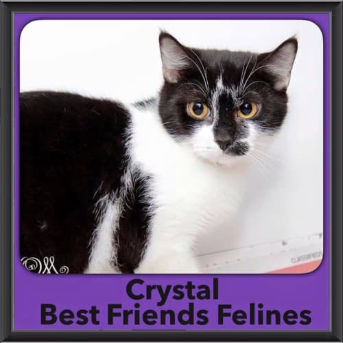 Crystal 