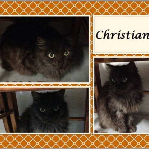 Christian