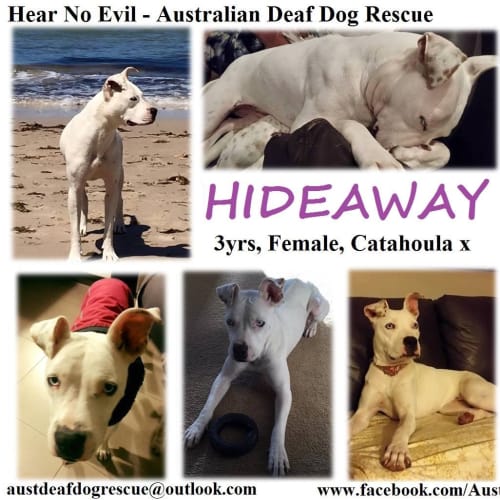 Hideaway *price reduced