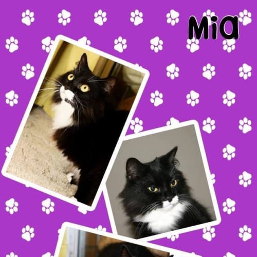 Mia
