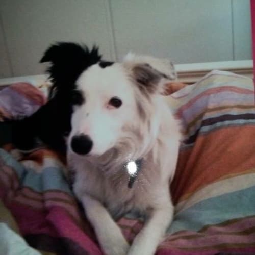 Lucy