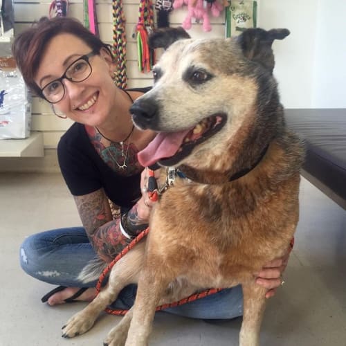 Ol' Bluey ** Adoption Pending ** $100 Jan Only!