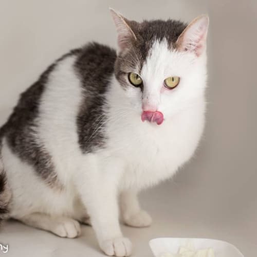 Leana de Bruin (4448)