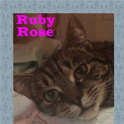 Ruby Rose
