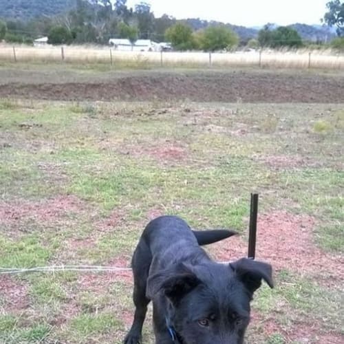 Becker ** A Stunning Boy **
