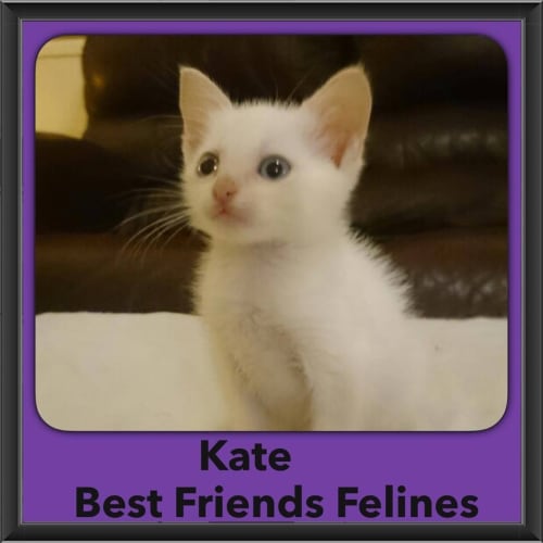 Kate