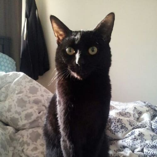Salem