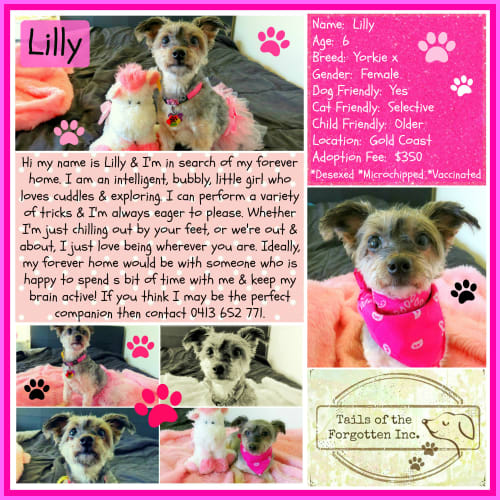 Lilly