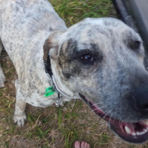 Mikah (adoption pending)