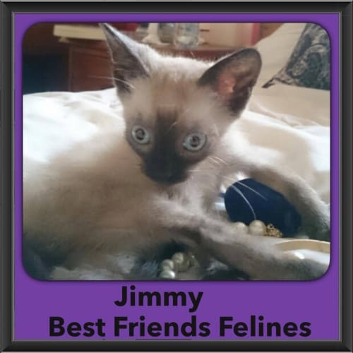 Jimmy 