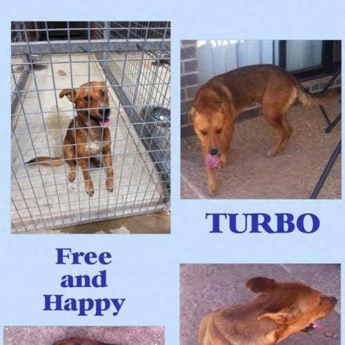 Turbo