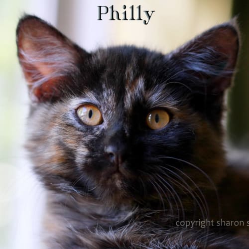 Philly