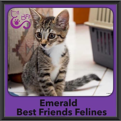 Emerald 