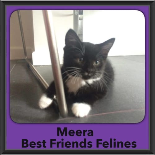 Meera 