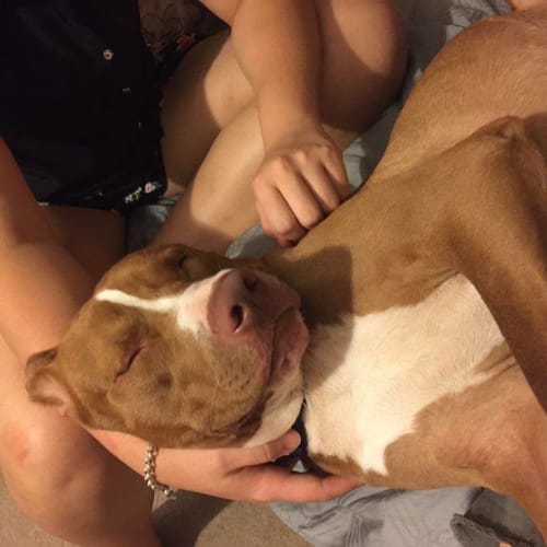 Magic Mikey *Adoption pending*
