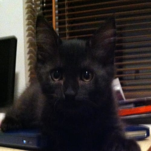 Sam