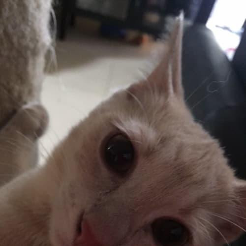 Margo