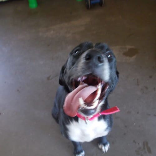 Max