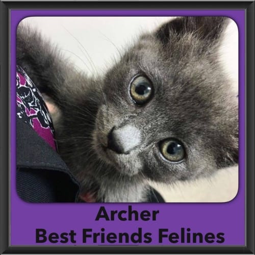 Archer