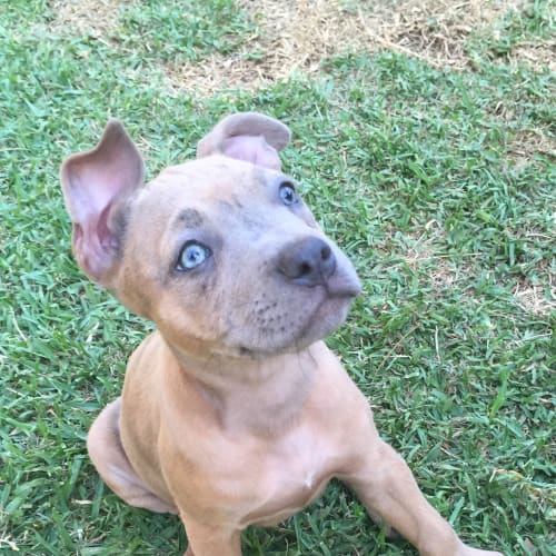 Zoe