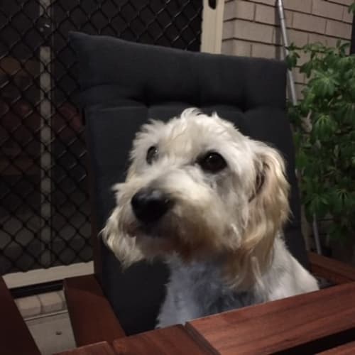 Charlie