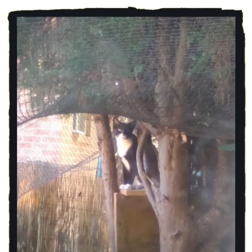 Marcell @ The Pet House Tuggerah