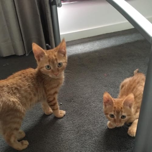 Adoption day Sunday 6th March