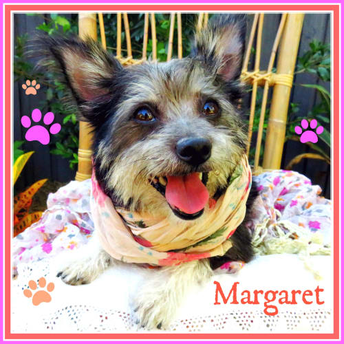 Margaret