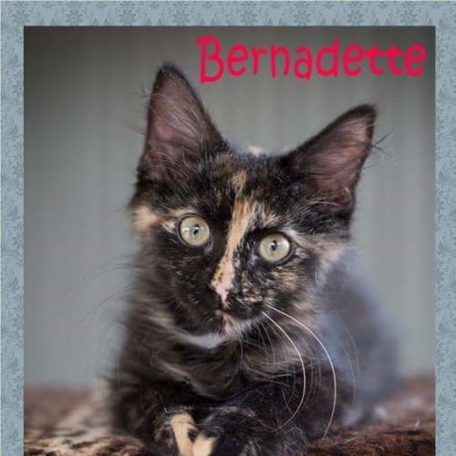 Bernadette