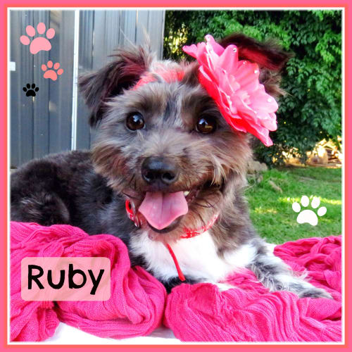 Ruby