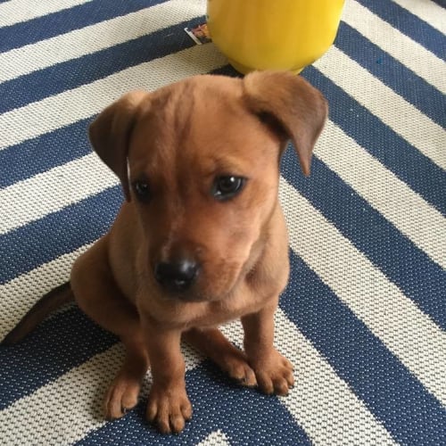 Barry