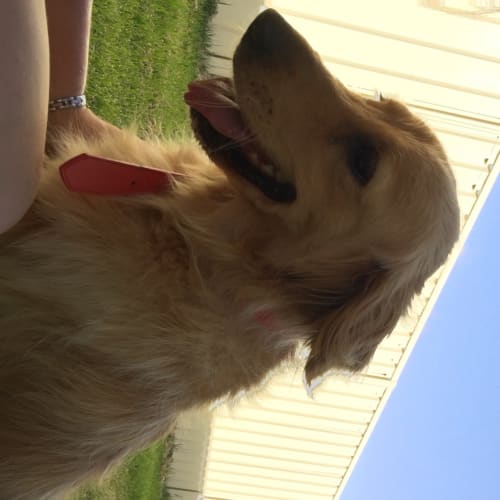 Sunday *On Trial in Her New Home*