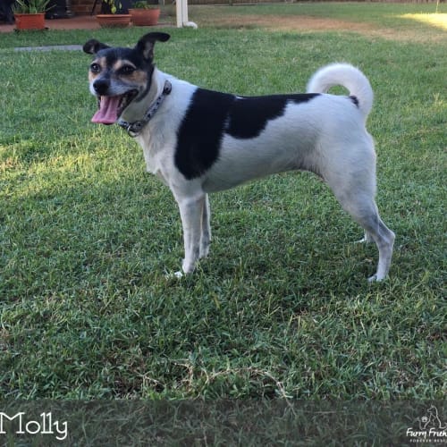 Molly