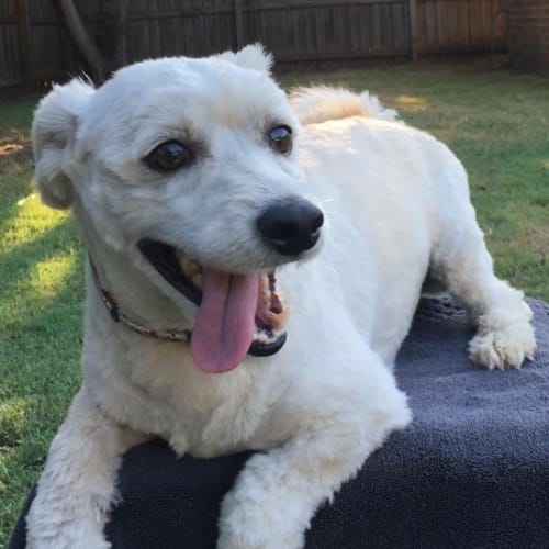 Benny