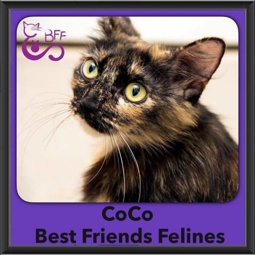 Coco