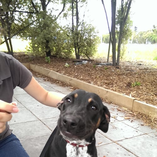 Rum ID:30414