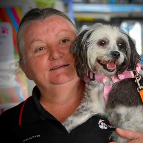 Chloe Princess (adoption pending)