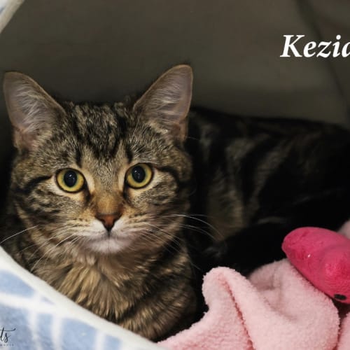 Kezia