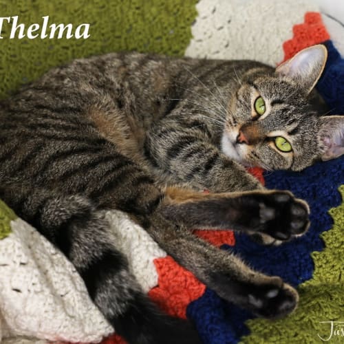 Thelma