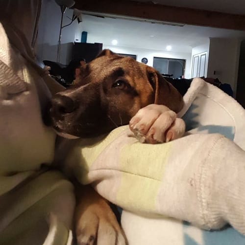 Penny
