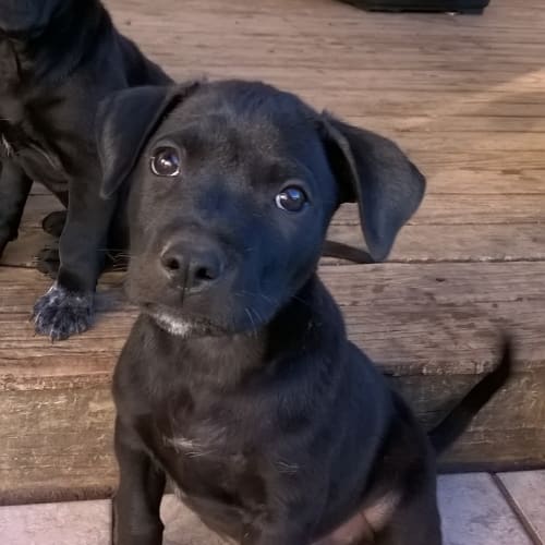 max